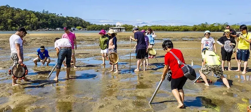Gold Coast Catch a Crab Cruise | Experience Oz