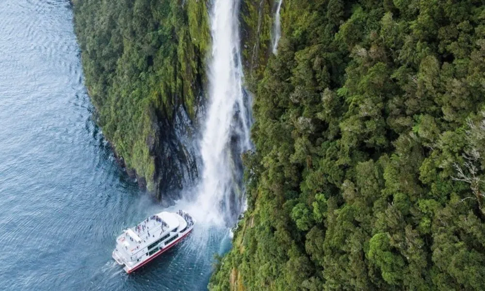 Southern Discoveries Milford Sound Coach and Cruise from Queenstown - Book Now | Experience Oz-1