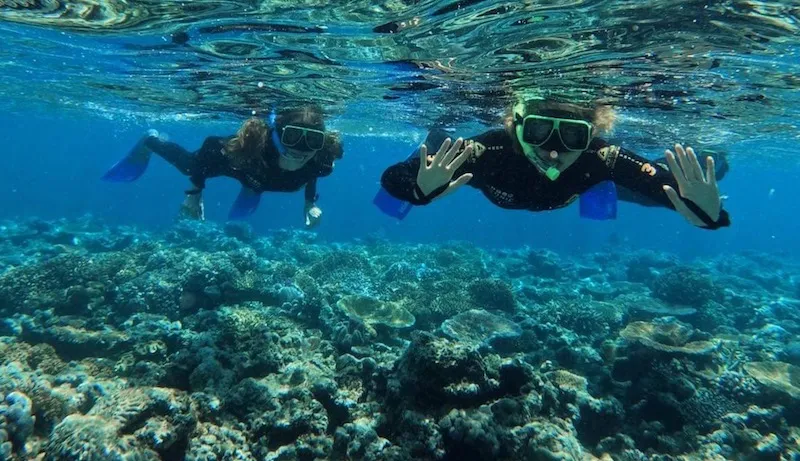 Full Day Viper Whitsundays Tour with Lunch and Snorkel
