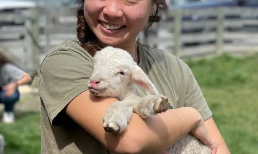 Petting Zoo Lake Tekapo (Carbon Positive) | Experience Oz