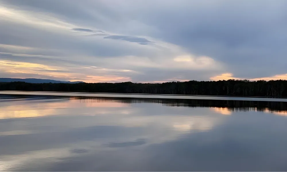 Tasty Noosa Everglades Tour and Cruise | Experience Oz-4