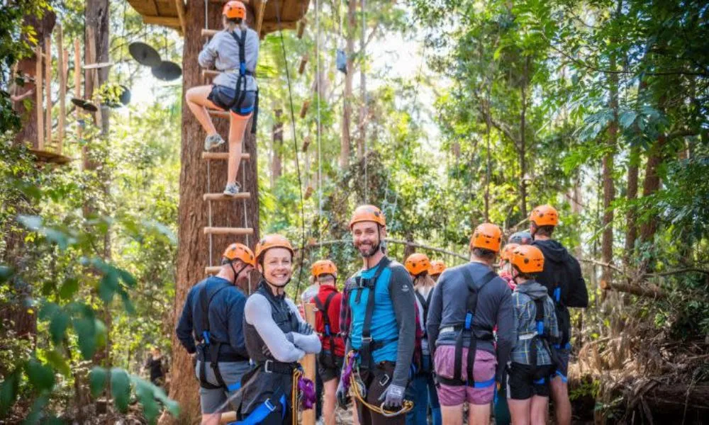 Treetops Adventure Canberra - 2.5 Hours | Experience Oz -4