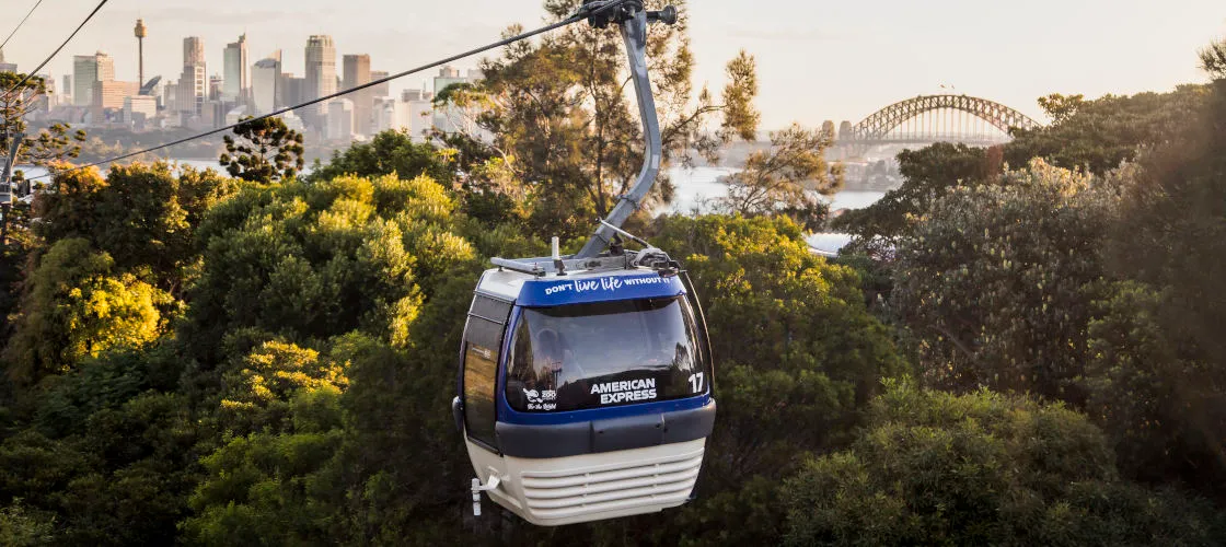 Taronga Zoo Entry with Return Ferry | Experience Oz-2
