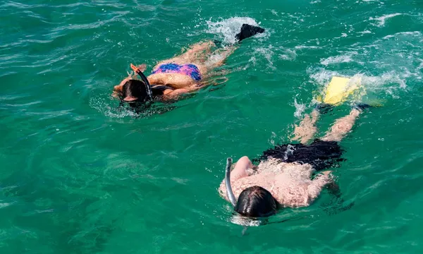 Bay of Islands Sailing Day Cruise - 6 Hours 