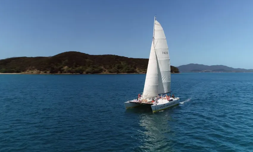 Bay of Islands Sundowner Evening Cruise | Experience Oz