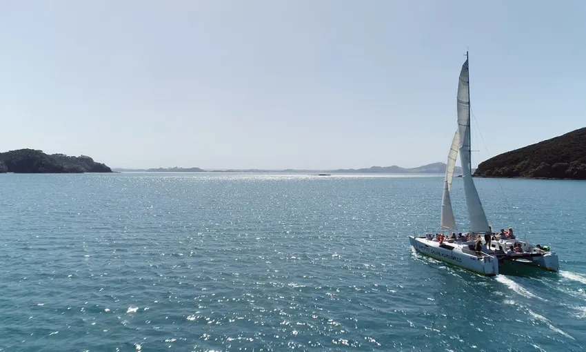 Bay of Islands Sundowner Evening Cruise | Experience Oz