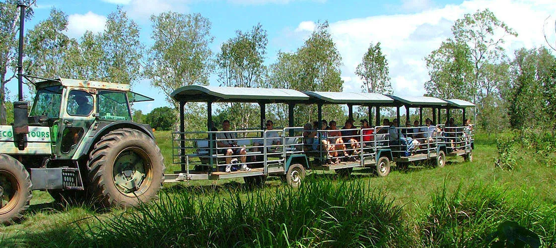 The Crocodile Safari Tour | Experience Oz-2