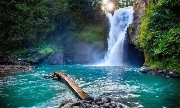Ubud Day Tour: Tegenungan Waterfall, Sacred Monkey Forest, Ubud Market, Tegalalang Rice Terrace & Pura Tirta Empul | Indonesia