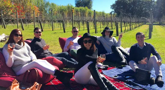 Full Day Winery Tour from Brisbane | Experience Oz
