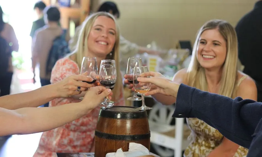 Full Day Winery Tour from Brisbane | Experience Oz