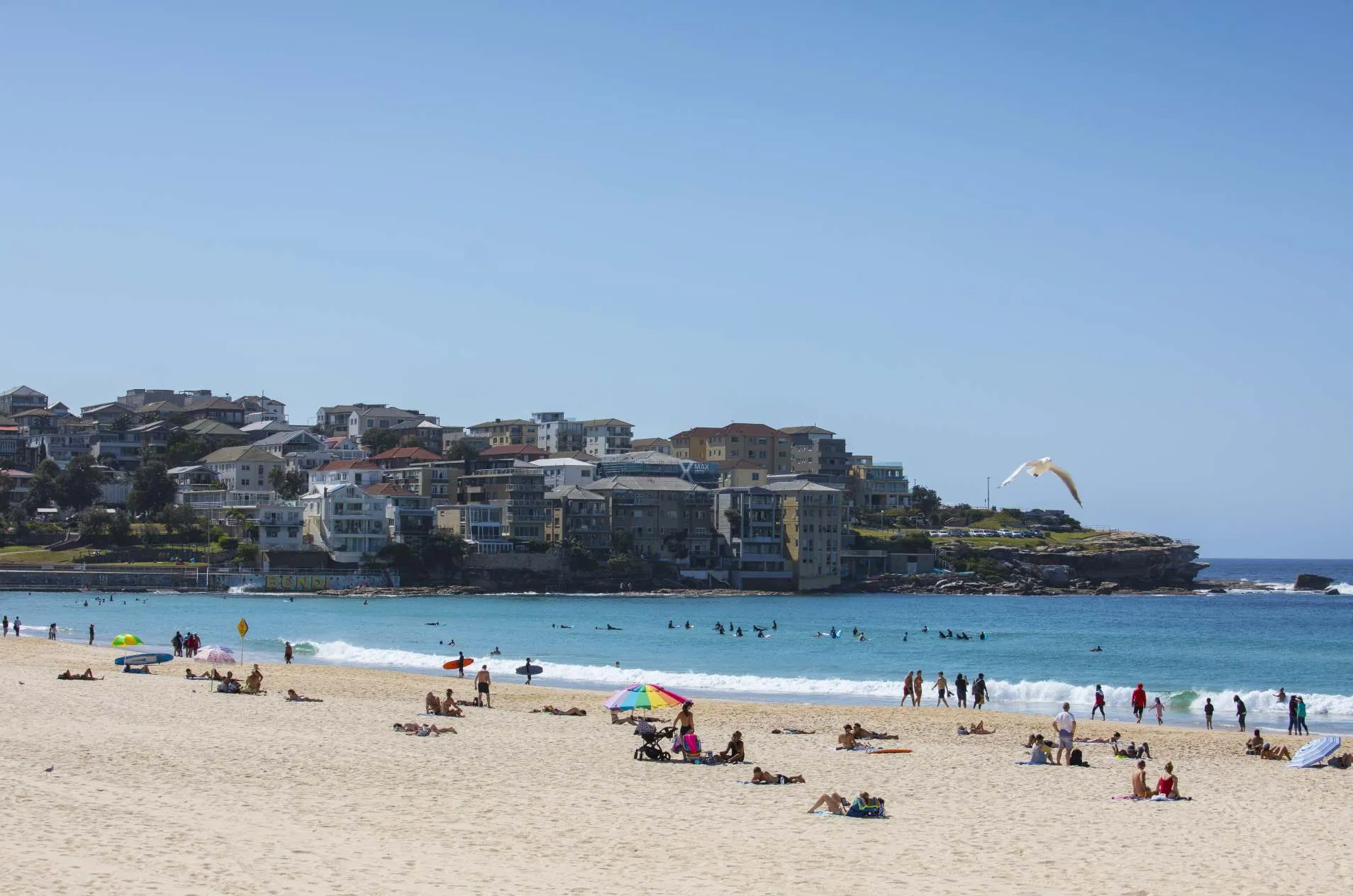 Sydney Sightseeing Guided Tour - Book Now | Experience OZ-5