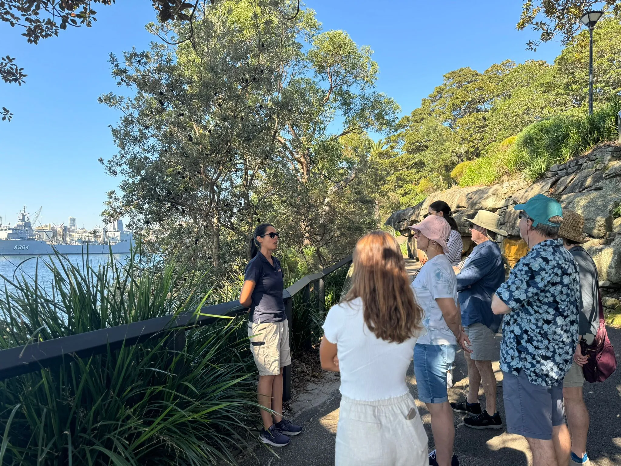 Sydney Sightseeing Guided Tour - Book Now | Experience OZ-5
