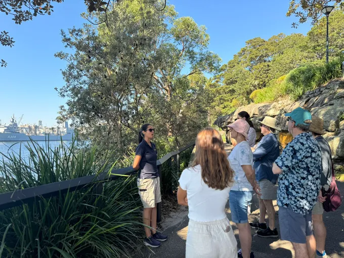 Sydney Sightseeing Guided Tour - Book Now | Experience OZ