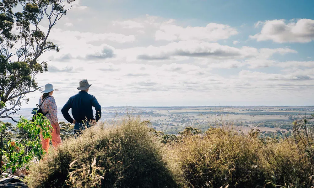 Roma Landscape and Legacy Day Tour - Book Now | Experience OZ-1
