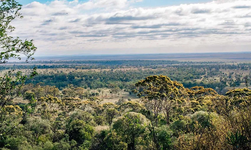 Roma Landscape and Legacy Day Tour - Book Now | Experience OZ