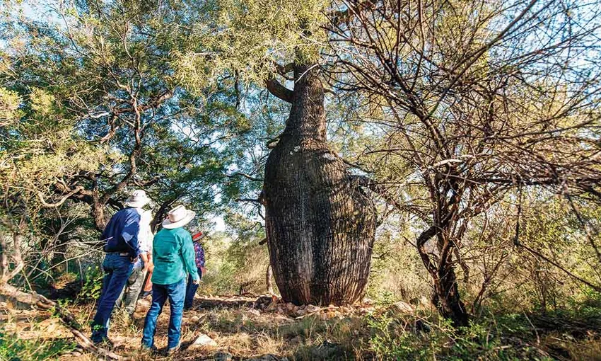 Roma Landscape and Legacy Day Tour - Book Now | Experience OZ