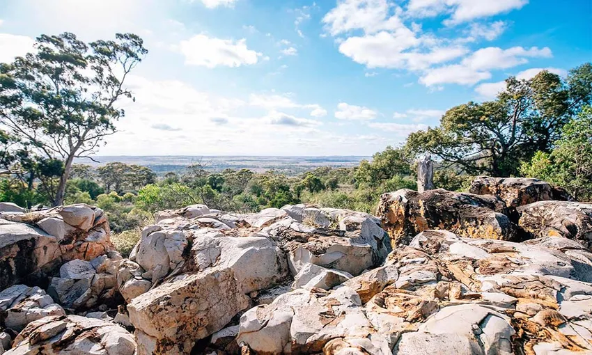 Roma Landscape and Legacy Day Tour - Book Now | Experience OZ
