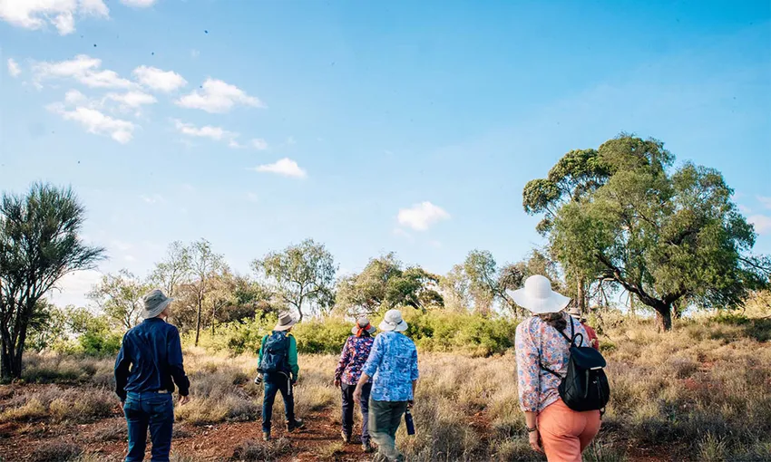 Roma Landscape and Legacy Day Tour - Book Now | Experience OZ