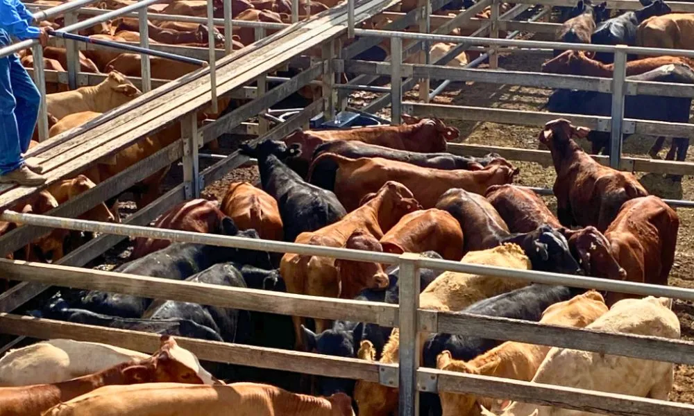 Roma Landscape and Legacy Day Tour - Book Now | Experience OZ-5