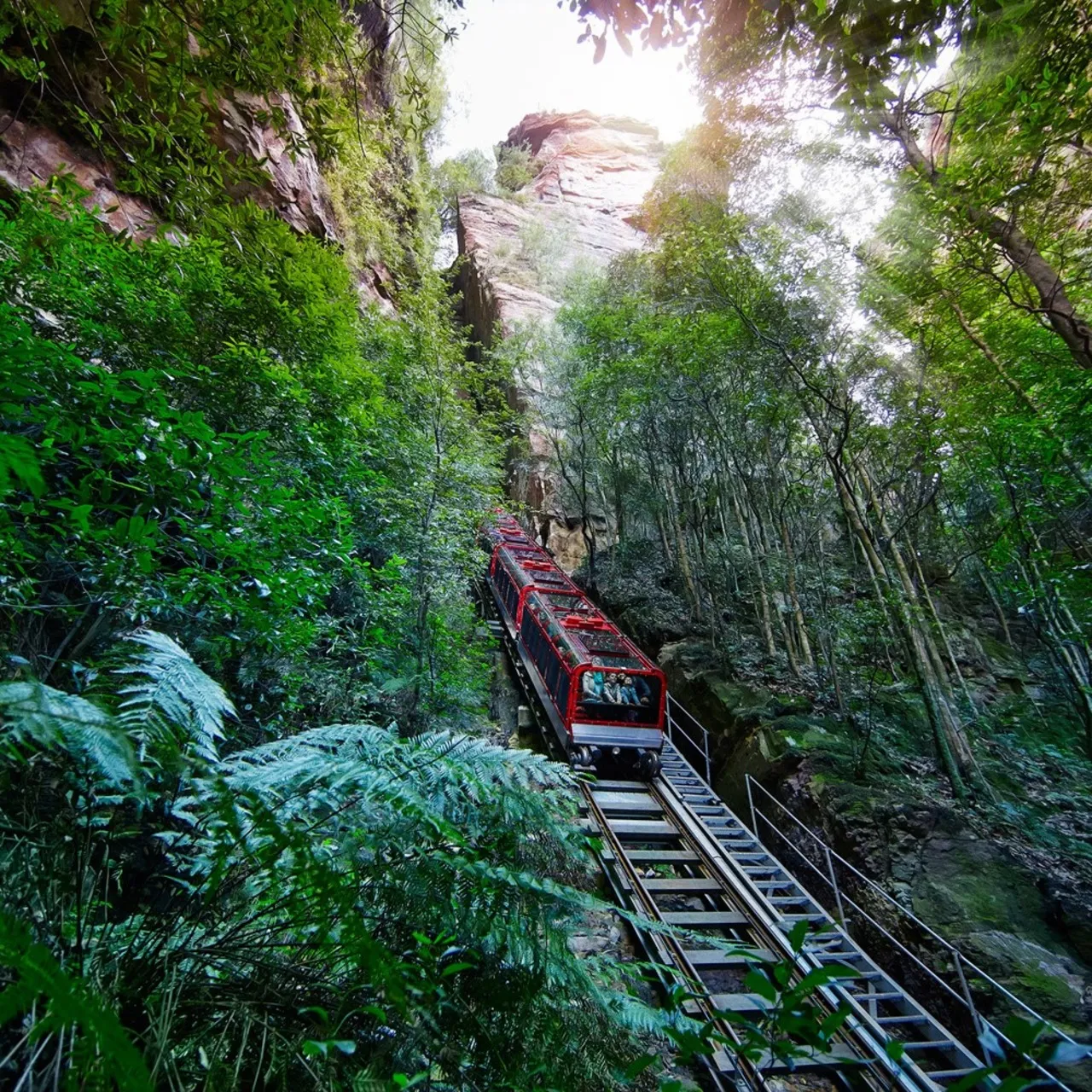 Blue Mountains Full Day Tour with Scenic World Pass - Book now | Experience Oz-5