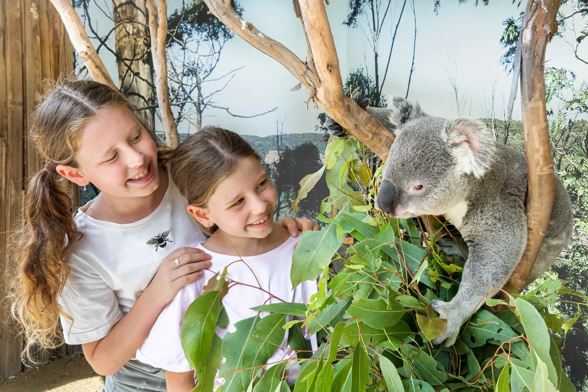 Blue Mountains Full Day Tour with Scenic World Pass - Book now | Experience Oz-8