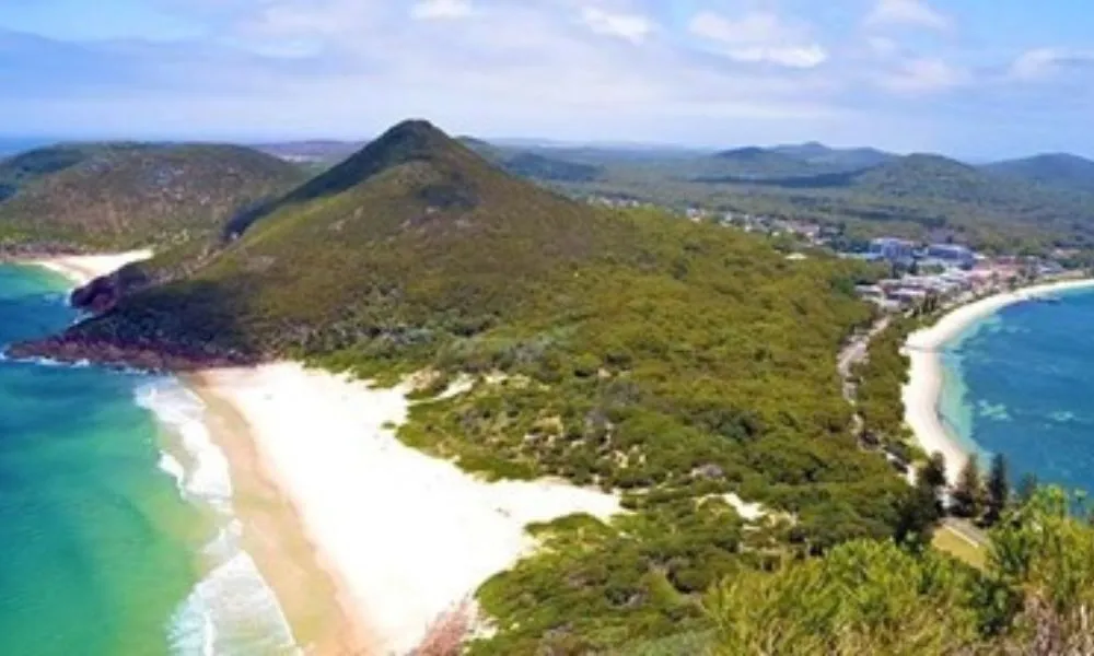 Port Stephens Day Tour from Sydney - Book Now | Experience Oz-5