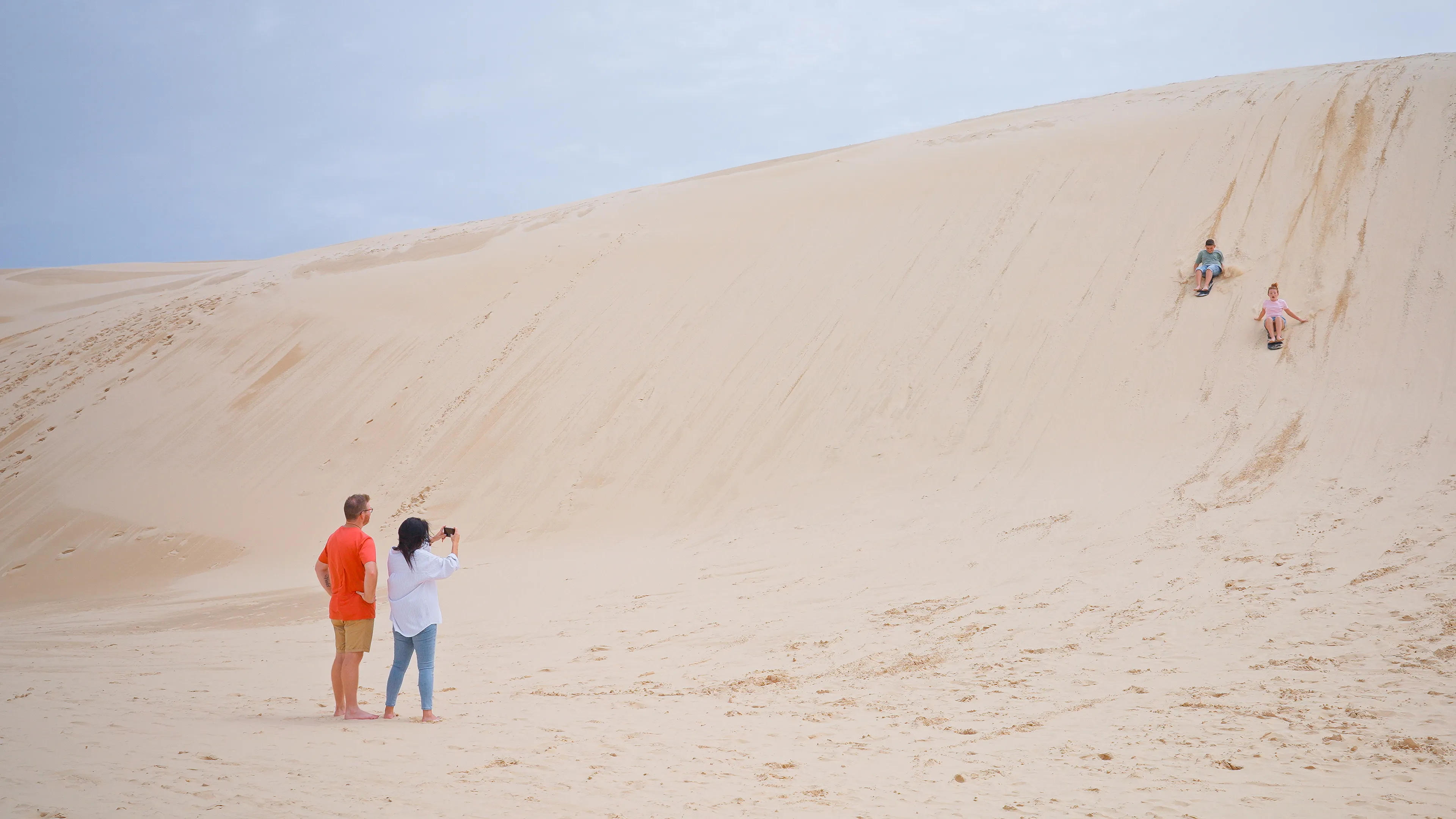 Port Stephens Day Tour from Sydney - Book Now | Experience Oz-8