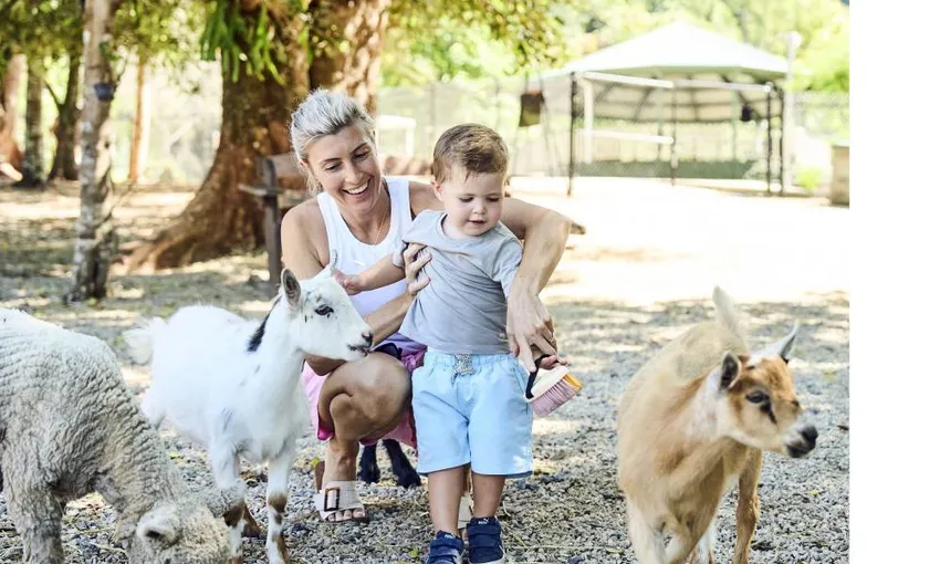 Maleny Botanic Gardens Family Entry, Buggy Ride & Picnic Lunch | Experience OZ