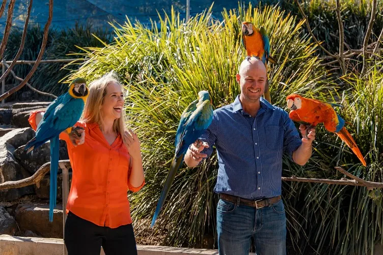 Maleny Botanic Gardens Family Entry, Buggy Ride & Picnic Lunch | Experience OZ