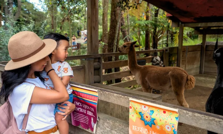 Taronga Zoo Entry and Ferry Transfer | Experience Oz