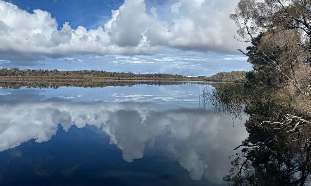 Pemberton Beach to Forest Eco Adventure Tour | Experience OZ-4