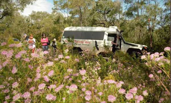 Pemberton Beach to Forest Eco Adventure Tour - 4 Hours