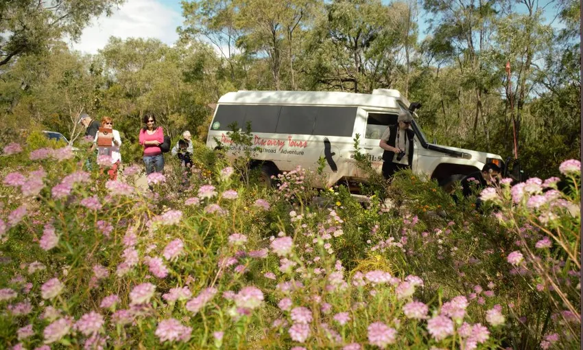 Pemberton Beach to Forest Eco Adventure Tour | Experience OZ