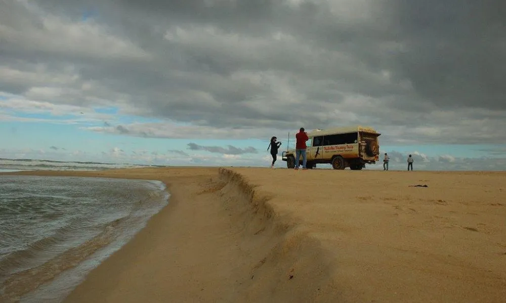 Pemberton Beach to Forest Eco Adventure Tour | Experience OZ-5