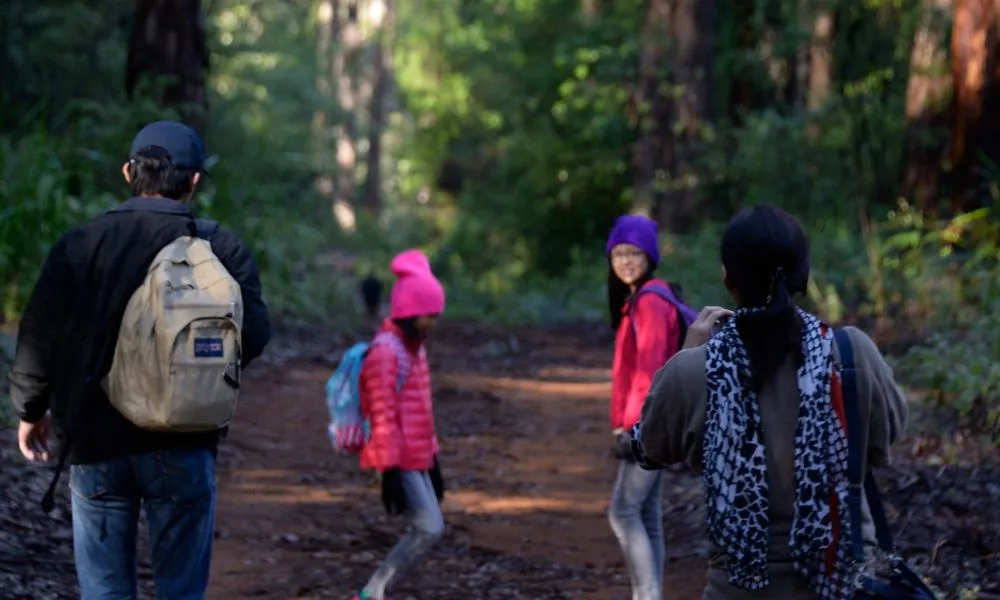 Pemberton Beach to Forest Eco Adventure Tour | Experience OZ-6