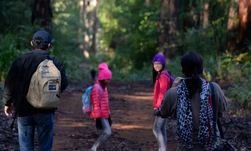 Pemberton Beach to Forest Eco Adventure Tour | Experience OZ