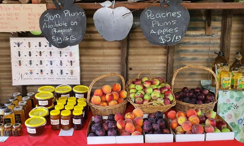 Cherry Picking Day Tour in Orange - Book Now | Local Agent