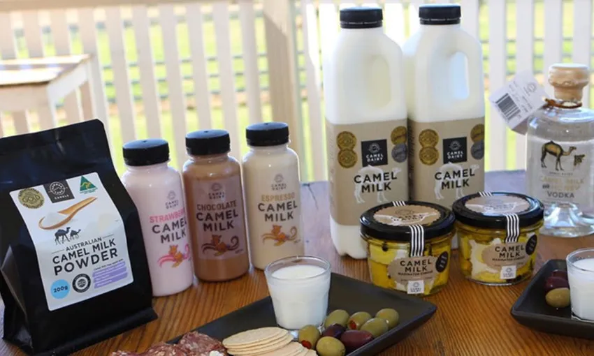 Summer Land Camel Farm Tour with Grazing Platter | Experience Oz 