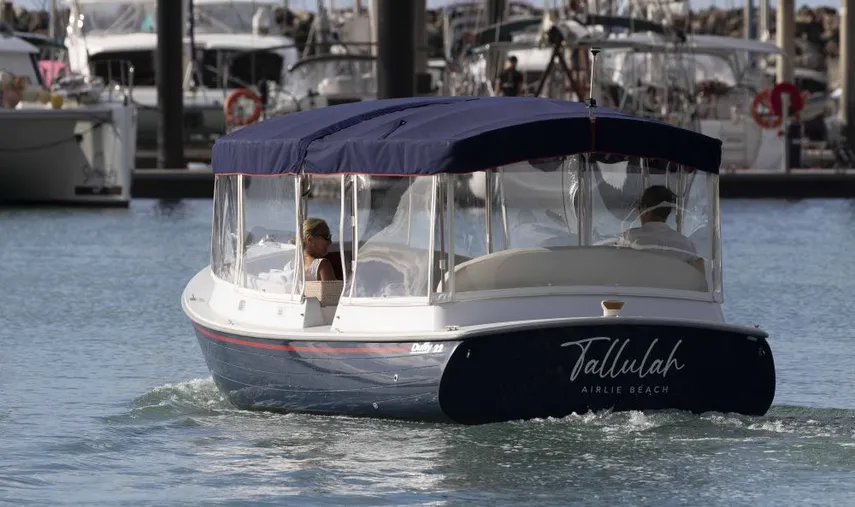 Airlie Beach Turtle Spotting Sunset Cruise - Book Now | Experience Oz
