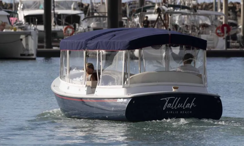 Airlie Beach Turtle Spotting Cruise - Book Now | Experience Oz