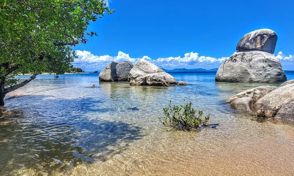 Coastal Explorer Full Day Tour - Book Now | Experience Oz-2