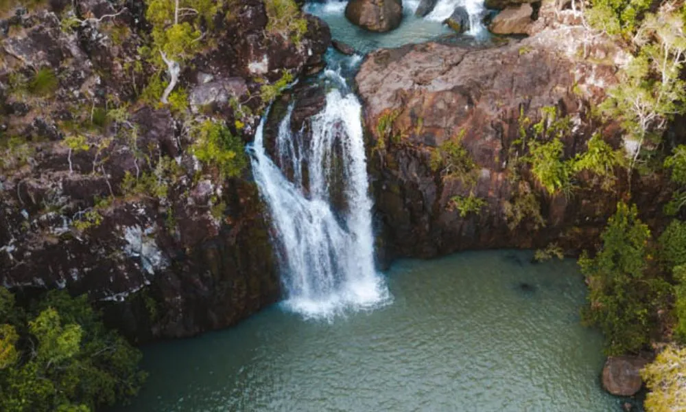 Coastal Explorer Full Day Tour - Book Now | Experience Oz-4