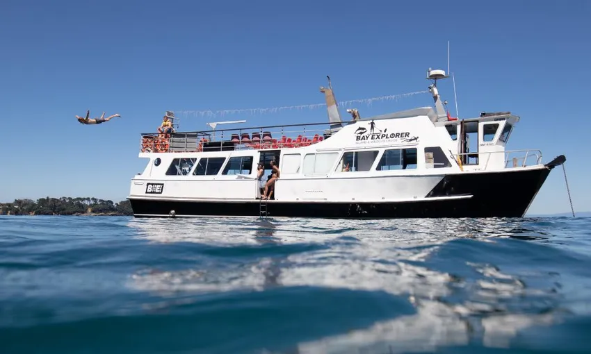 Tauranga Half Day Wildlife Cruise - Book Now | Experience Oz