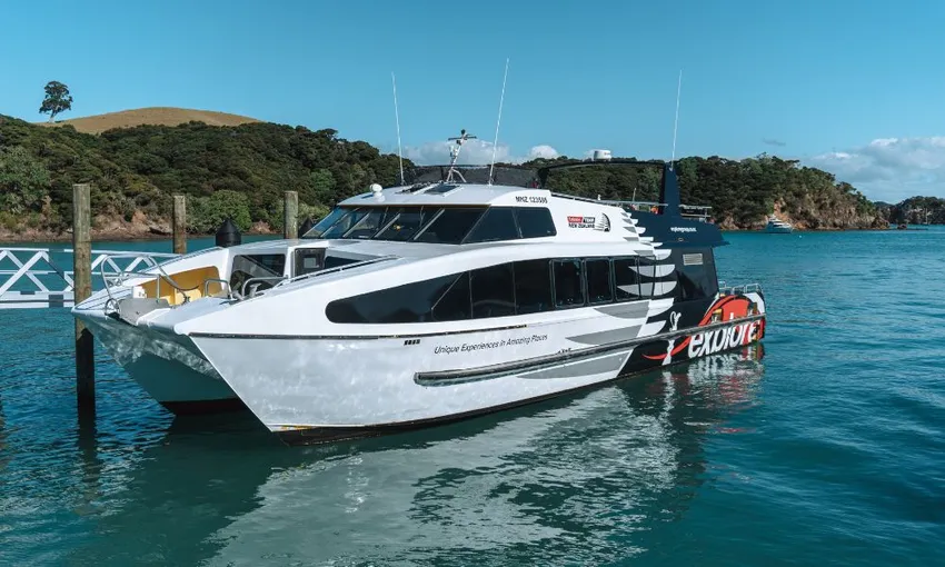 Dolphin Eco Cruise with Island Stopover - 4 Hours - Book Now | Experience Oz