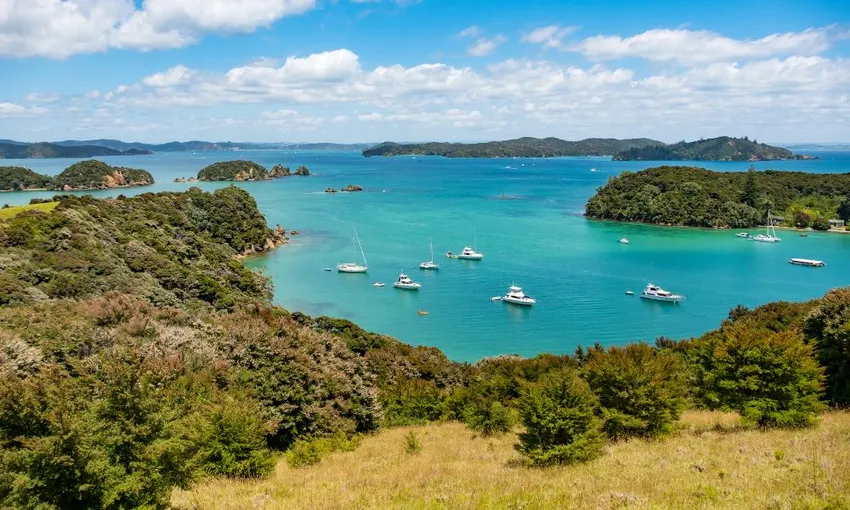 Dolphin Eco Cruise with Island Stopover - 4 Hours - Book Now | Experience Oz