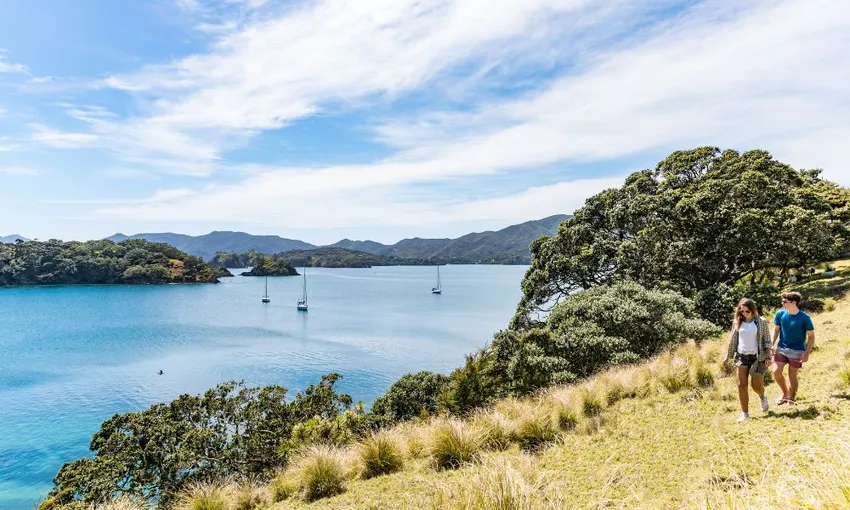 Dolphin Eco Cruise with Island Stopover - 4 Hours - Book Now | Experience Oz