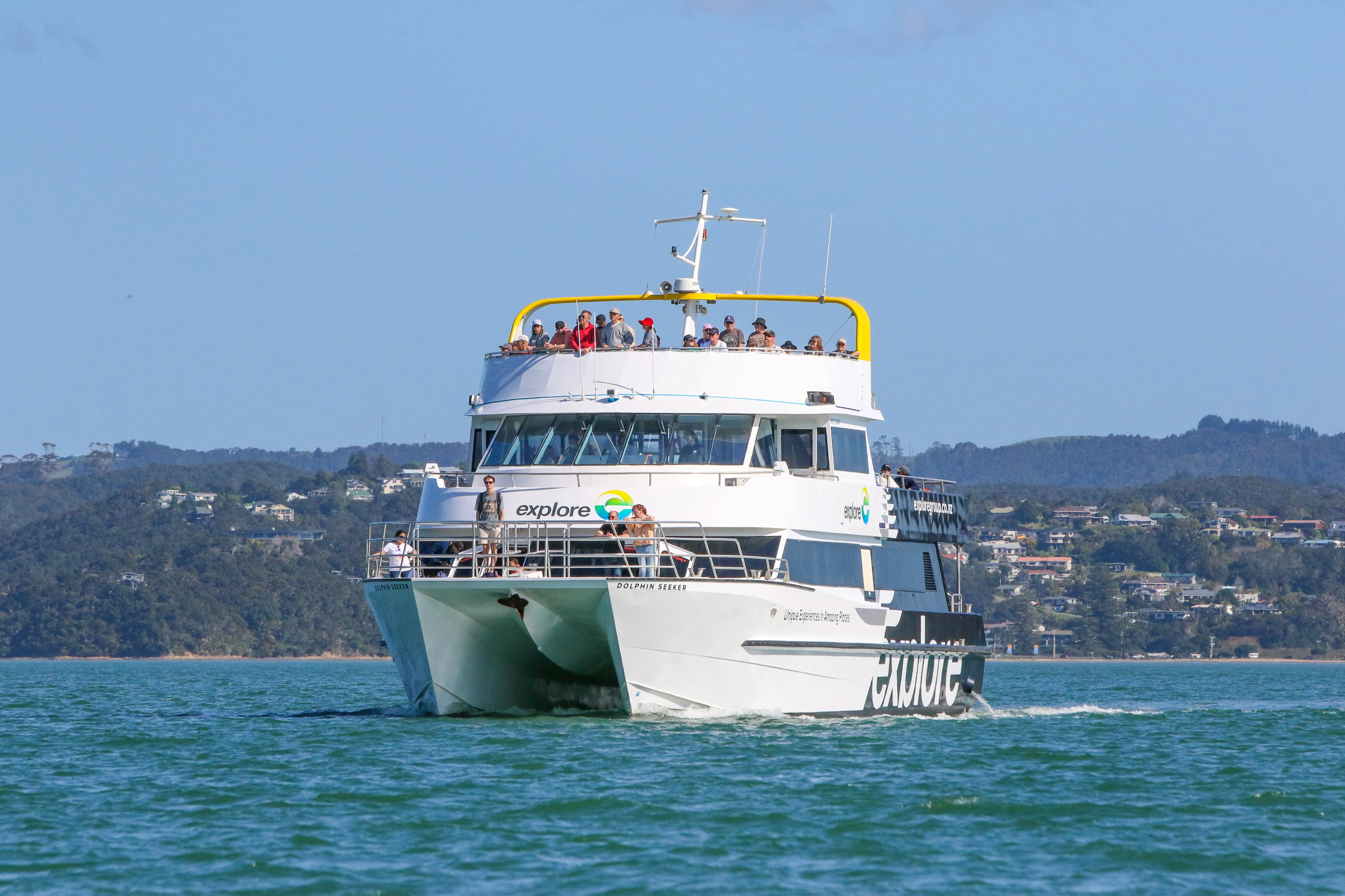 Dolphin Eco Cruise with Island Stopover - 4 Hours - Book Now | Experience Oz-7