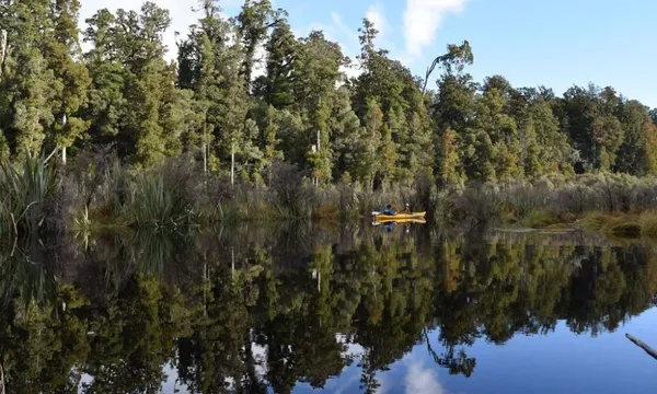 Franz Josef Classic Kayaking Tour - 3 Hours