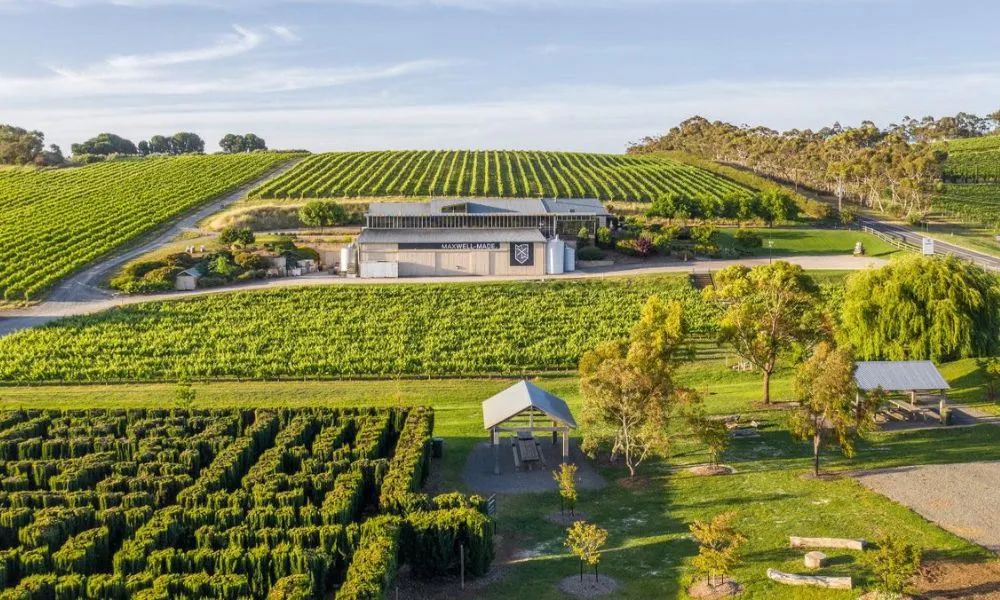 Fleurieu Peninsula Wine Tasting & Canapés - For 2 | Experience OZ-2