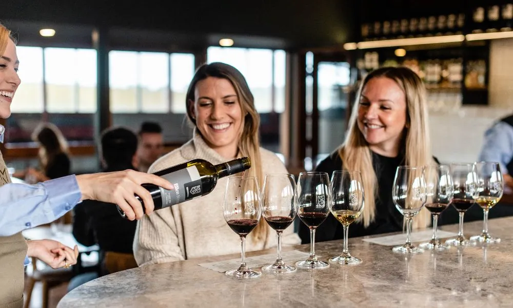 Fleurieu Peninsula Wine Tasting & Canapés - For 2 | Experience OZ-1